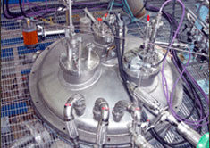 vacuum-chambers